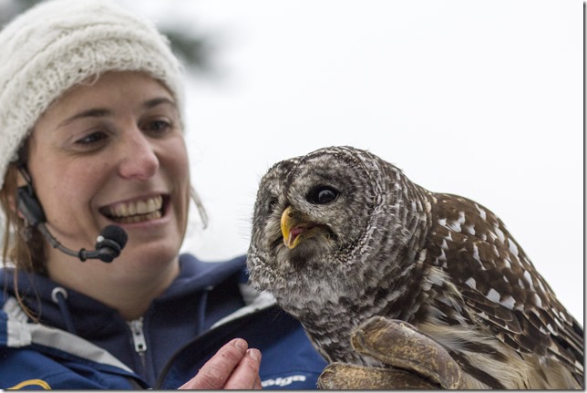 The Raptors,PNWR,birds,animals,education,wildlife,Cowichan Valley,winter,Barred Owl,owls