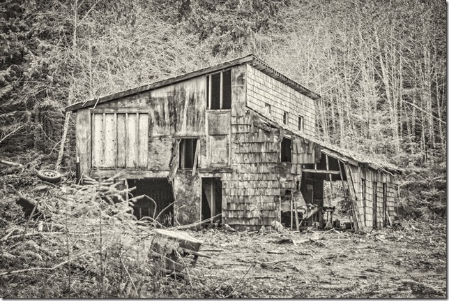 barn,black and white,buildings,old barns,Forbidden Plateau Road