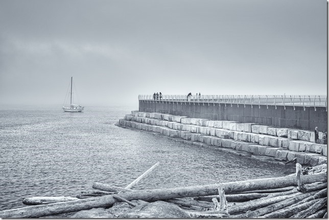 Victoria,black and white,ships,ocean,Ships Point,cruise ship terminal,Ogden Point,Juan de Fuca Strait,Dallas Road sea wall