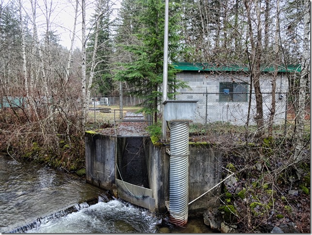 hatchery,Headquarters Creek,salmon,Tsolum River,hatchery,DF&O,Tsolum River Facility,Mt Washington copper mine