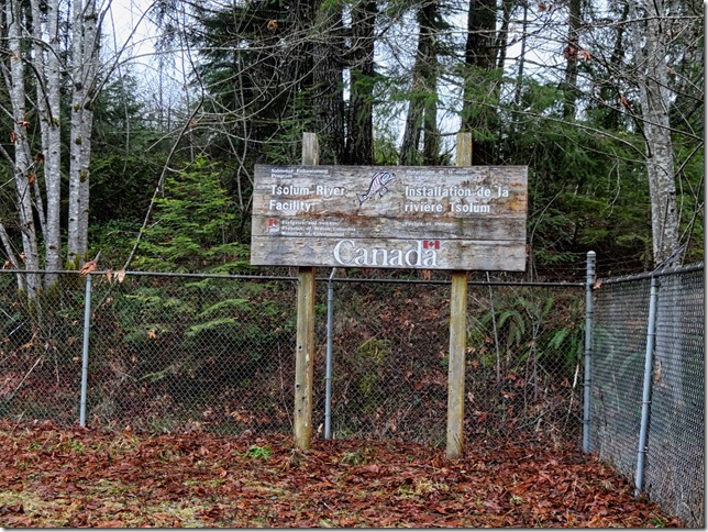 hatchery,Headquarters Creek,salmon,Tsolum River,hatchery,DF&O,Tsolum River FacilityMt Washington copper mine