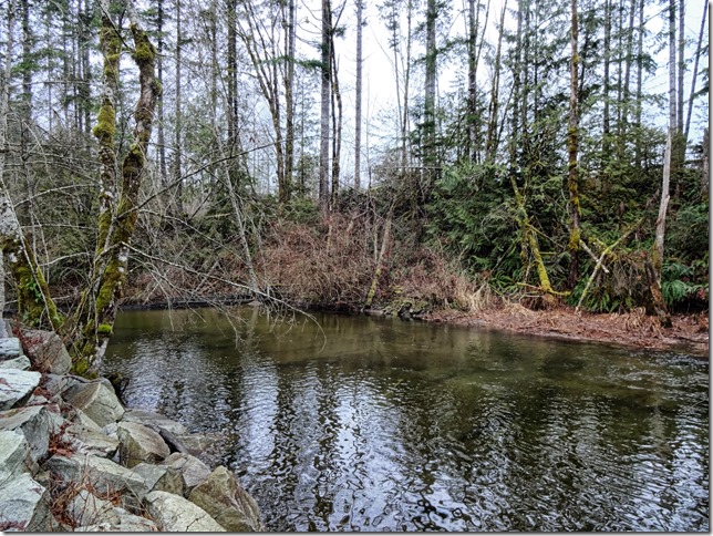 hatchery,Headquarters Creek,salmon,Tsolum River,hatchery,DF&O,Tsolum River FacilityMt Washington copper mine