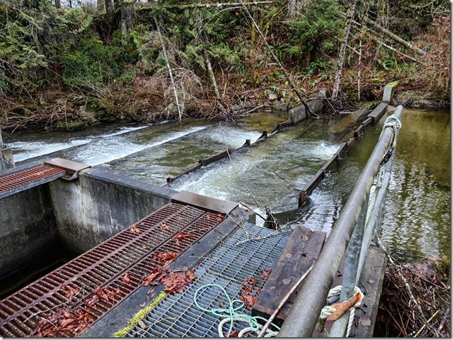 hatchery,Headquarters Creek,salmon,Tsolum River,hatchery,DF&O,Tsolum River FacilityMt Washington copper mine