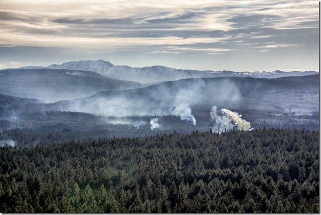 nature,scenery,Vancouver Island,mountains,trees,smoke,winter,Errington,Highway 4A,Little Mountain,Mount Arrowsmith Massif Regional Park 