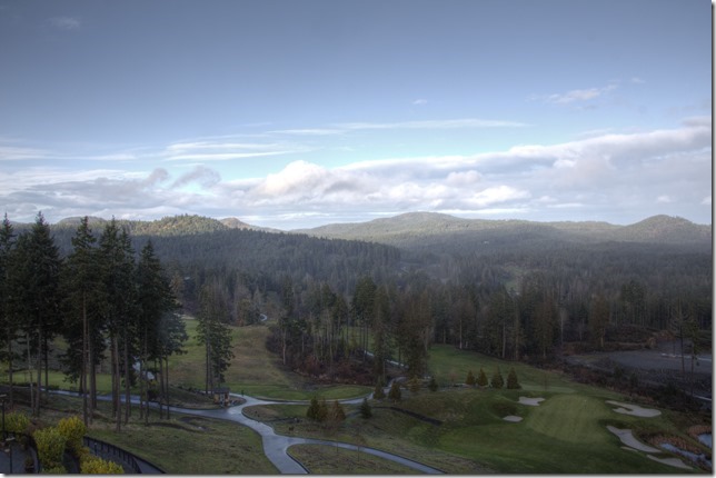 Bear Mountain, nature, scenery,trees,golf course,Victoria, winter,snow