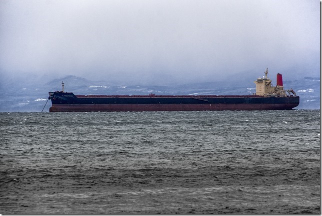 Victoria,ships,ocean,Royal Roads,Juan de Fuca Strait,HL Shinboryeong,bulk carrier