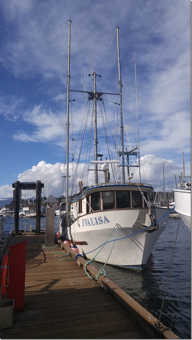Comox,fisherman's wharf,marina,fish boat,winter