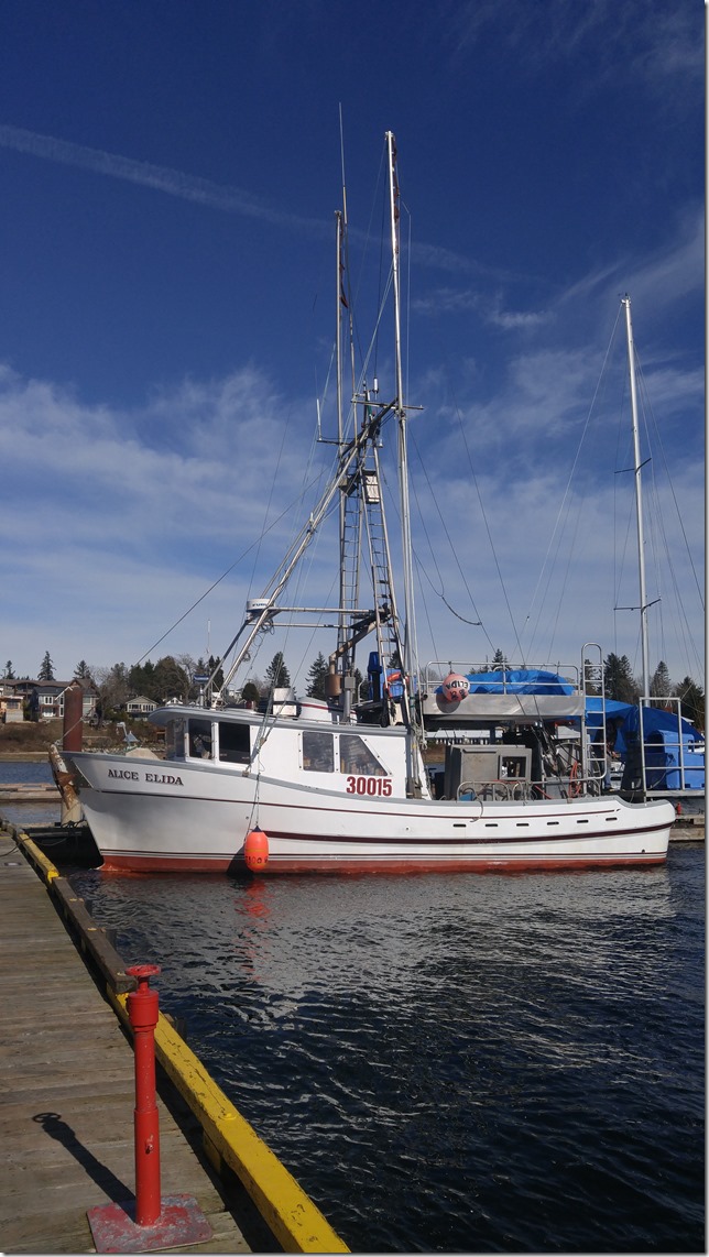 Comox,fisherman's wharf,marina,fish boat,winter