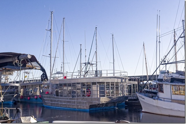 Comox,fisherman's wharf,marina,fish boat,spring
