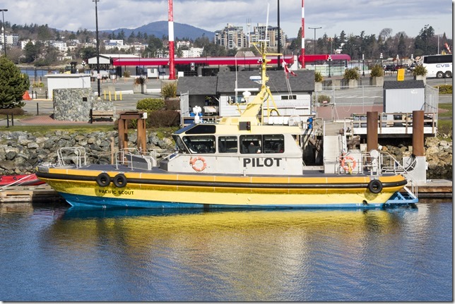 Victoria,ships,ocean,Ships Point,cruise ship terminal,Ogden Point,pilot boats,Juan de Fuca Strait,Dallas Road sea wall