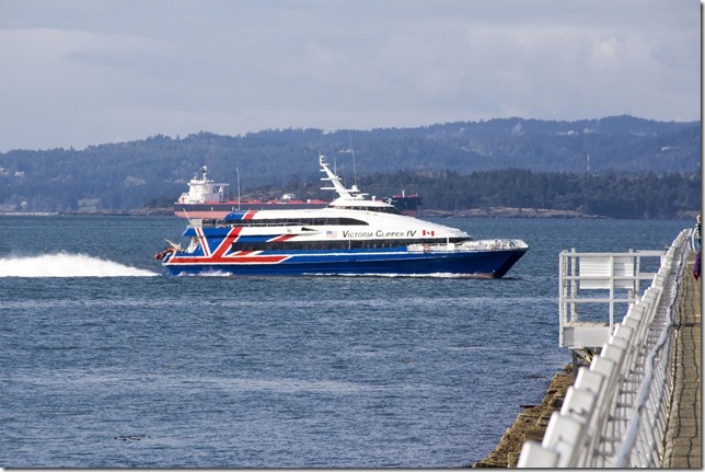 Victoria,ships,ocean,Ships Point,cruise ship terminal,Victoria Clipper,Ogden Point,Juan de Fuca Strait,Dallas Road sea wall