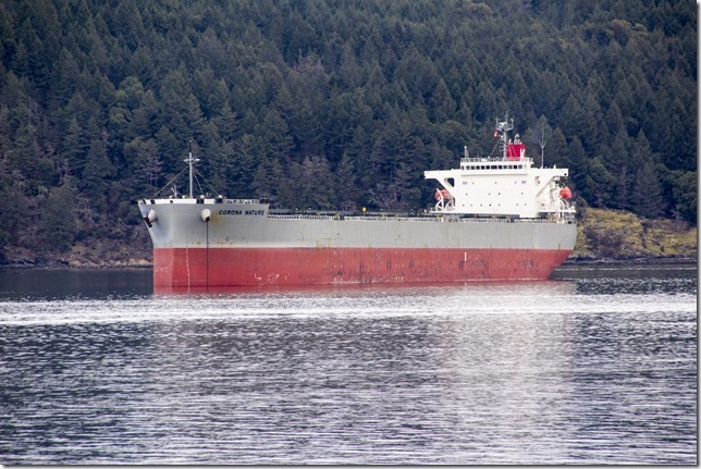 ships,Cowichan Bay,Genoa Bay,ocean,bulk carrier,Georgia Strait,winter ships,Cowichan Bay,Genoa Bay,ocean,bulk carrier,Georgia Strait,winter