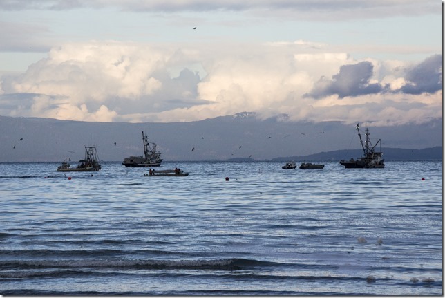 herring,fishing,Georgia Strait,Baynes Sound,ocean,nature,fish boat,Winter,Qualicum Bay,Highway 19A
