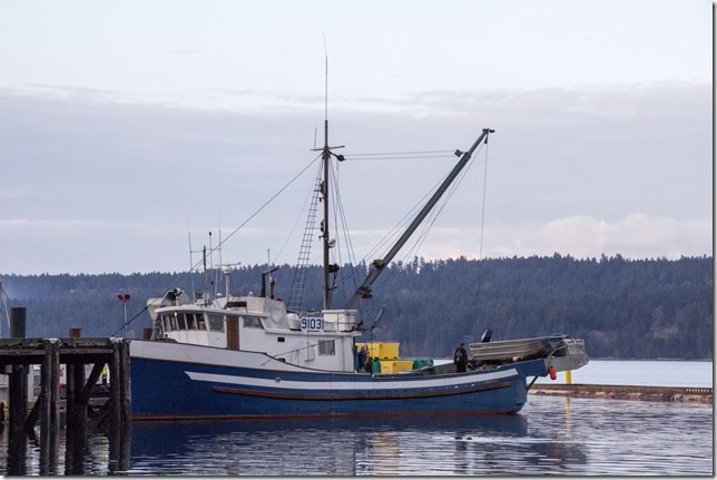 herring,fishing,Georgia Strait,Baynes Sound,ocean,nature,fish boat,Winter,Fanny Bay,Highway 19A