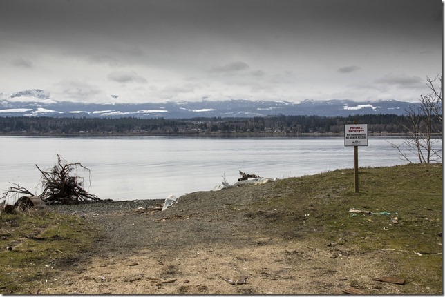 Comox,Dike Road,Comox Road,nature,Comox Estuary,K'&oacute;moks First Nation,Coox Glacier,birds