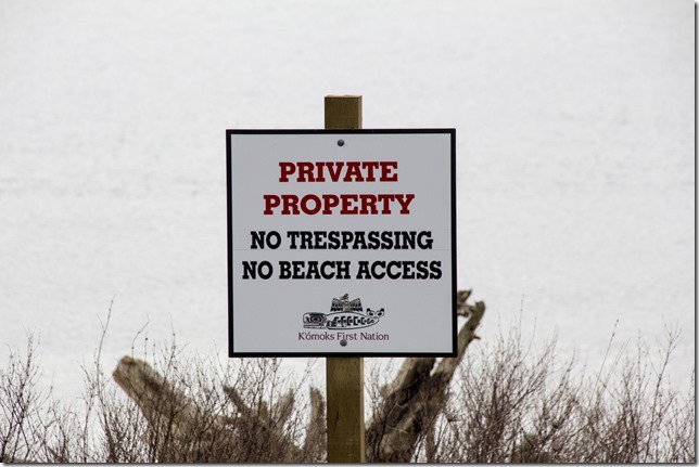 Comox,Dike Road,Comox Road,nature,Comox Estuary,K'&oacute;moks First Nation,Coox Glacier,birds