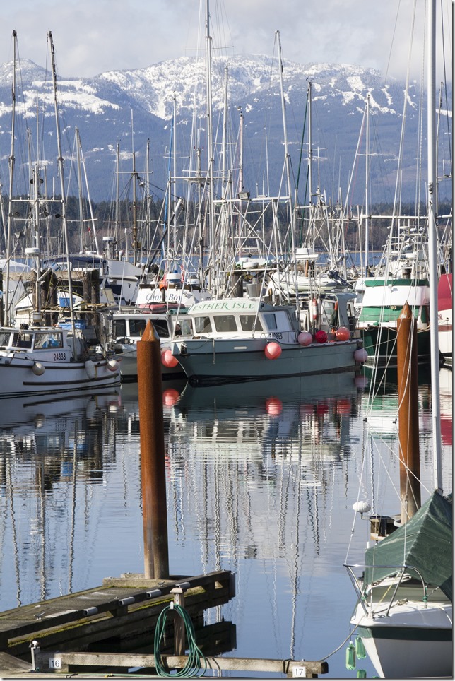 Comox,fisherman's wharf,marina,fish boat,winter