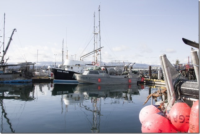 Comox,fisherman's wharf,marina,fish boat,winter