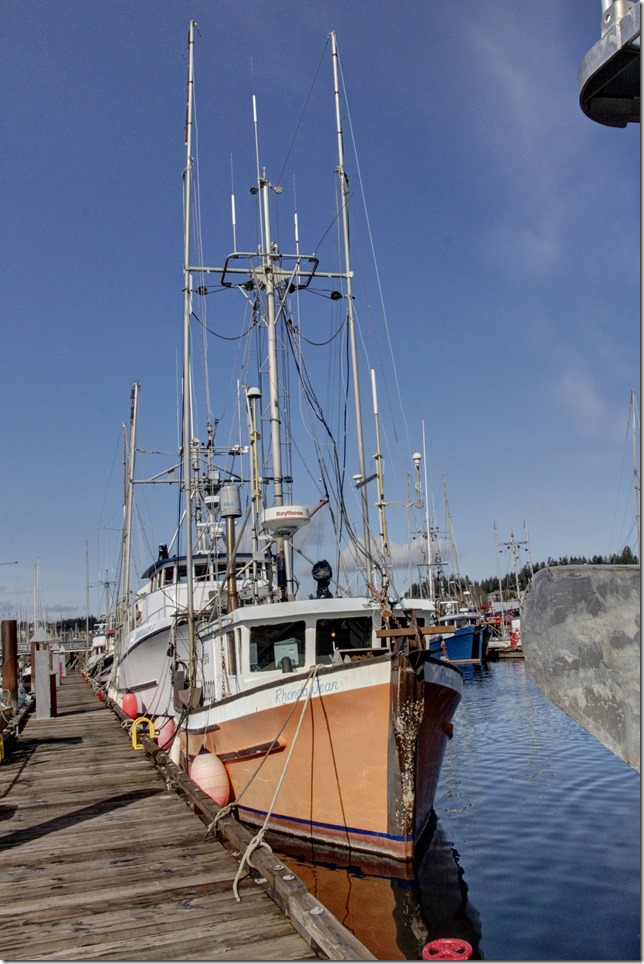 Comox,fisherman's wharf,marina,fish boat,winter