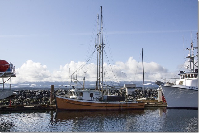 Comox,fisherman's wharf,marina,fish boat,winter