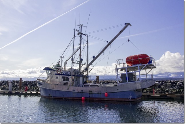 Comox,fisherman's wharf,marina,fish boat,winter