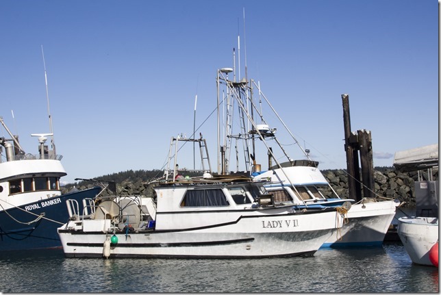 marina,fishboat,marina,fishing,ships,Campbell River,North Island