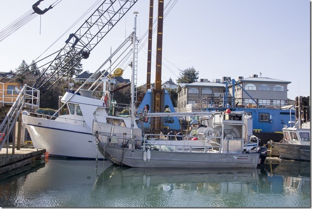 marina,fishboat,marina,fishing,ships,Campbell River,North Island