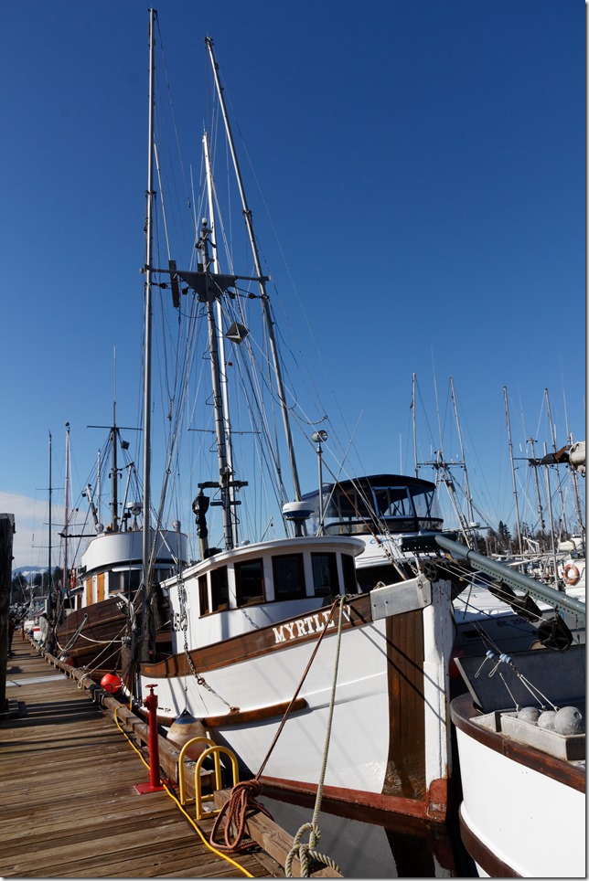 Comox,fisherman's wharf,marina,fish boat,winter