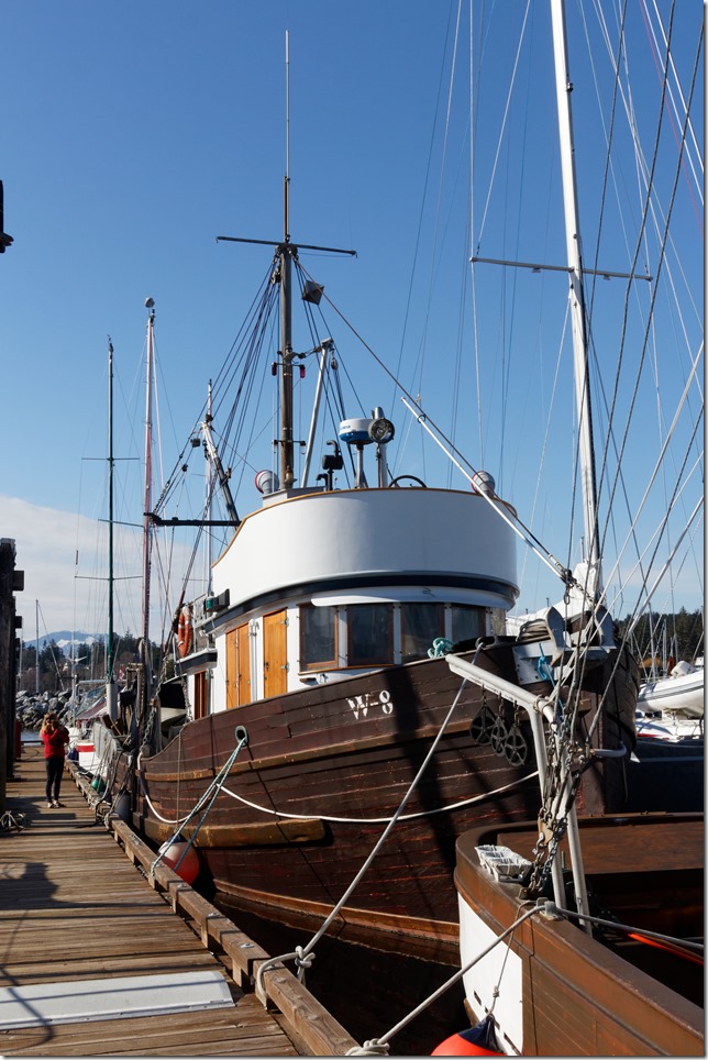 Comox,fisherman's wharf,marina,fish boat,winter