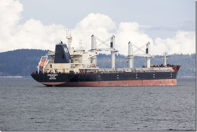marine,bulk carrier,ships,Kulleet Bay,Highway 1,spring,ocean,Juan de Fuca Strait,Salish Sea