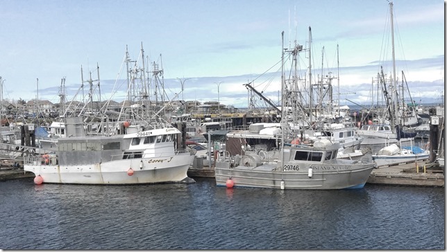 fishing boats,French Creek,spring,marina