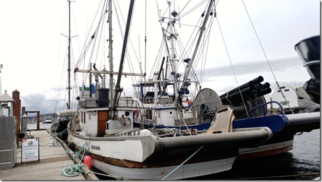 Rachelles&rsquo;s Era, Adriatic Sea, and Sandy Anne at Discovery Marina in Campbell River