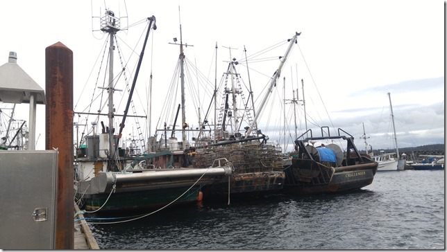 marina,fishboat,marina,fishing,ships,Campbell River,North Island,Discovery Marina