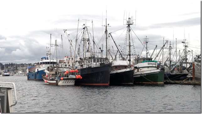 marina,fishboat,marina,fishing,ships,Campbell River,North Island,Discovery Marina