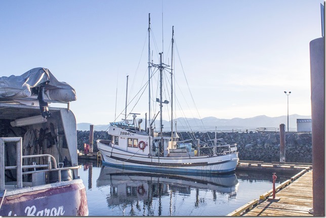 Comox,fisherman's wharf,marina,fish boat,spring