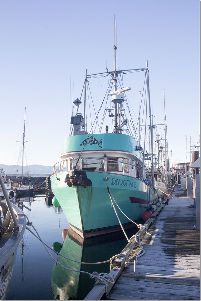 Comox,fisherman's wharf,marina,fish boat,spring,dilgence