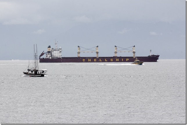 Victoria,ships,ocean,James Bay,Ogden Point,Juan de Fuca Strait,bulk carrier,pilot boat,Pacific Scout
