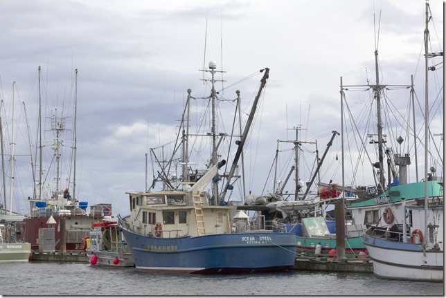 Comox,fisherman's wharf,marina,fish boat,spring