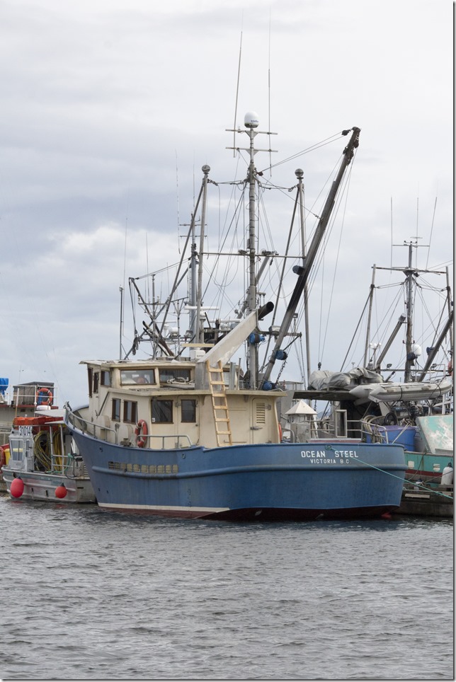 Comox,fisherman's wharf,marina,fish boat,spring