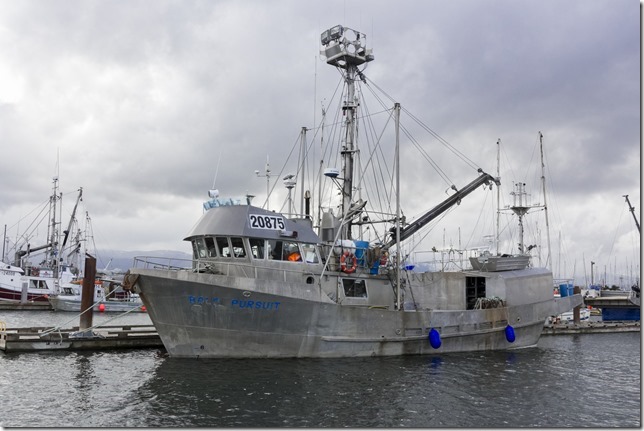 Comox,fisherman's wharf,marina,fish boat,spring