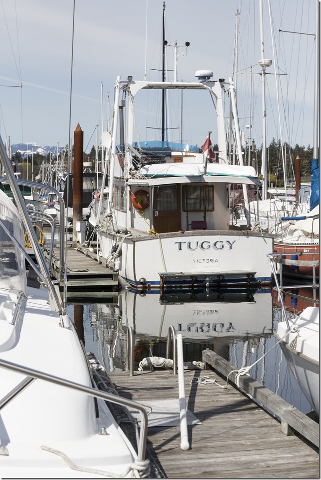 boats,Comox, Comox Marina.marina,ships,spring,