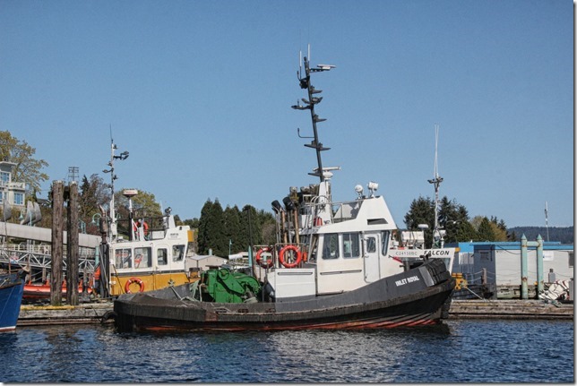 Nanaimo,tug boat,marina,spring,ships