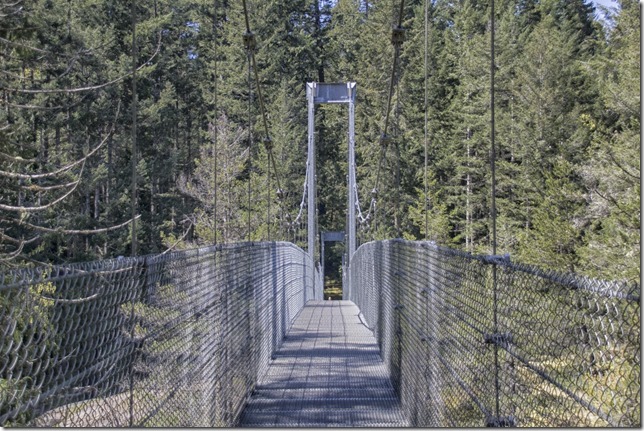 bridge,Englishman River,Parksville,Top Bridge Suspension Bridge,suspension bridge,nature
