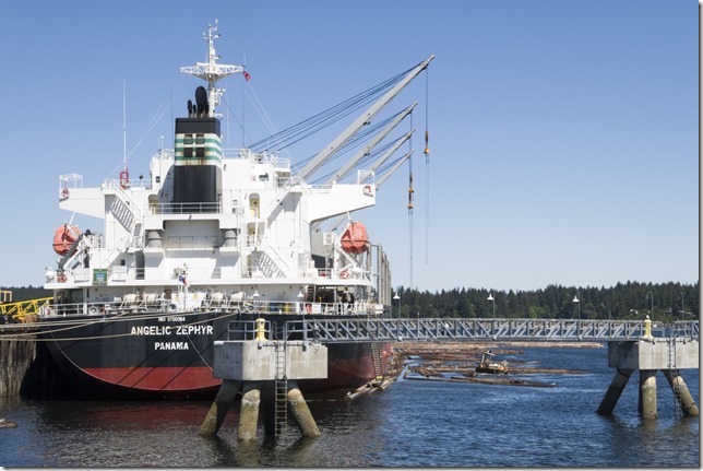 Angelic Zephyr,ships,bulk carrier,logs,log boom,ocean,Nanaimo Assembly Wharf,summer