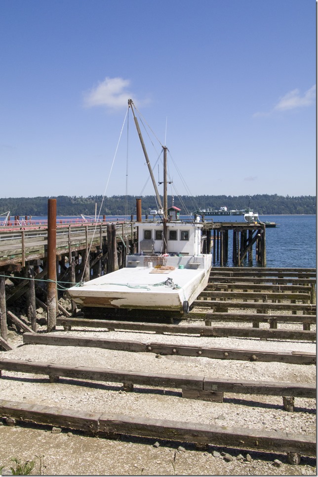 herring,fishing,Georgia Strait,Baynes Sound,ocean,nature,fish boat,summer,Fanny Bay,Highway 19A,Mac&rsquo;s Oysters Ltd.
