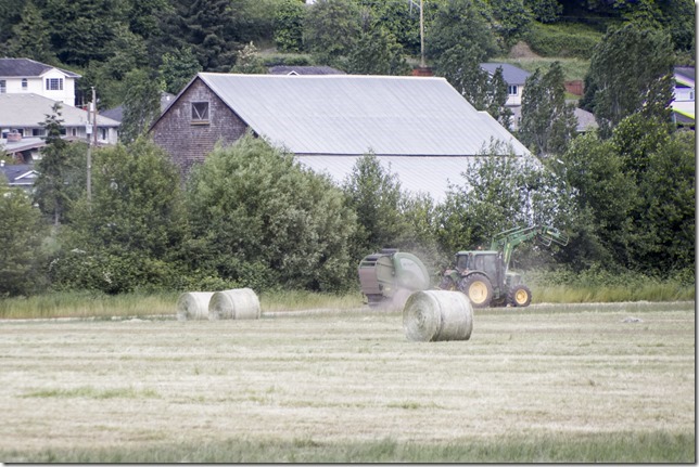 Comox Valley,Courtenay,Comox,farm.farmimg,farm eqipment,hay baler,hay wrapper,machinery,summer,Comox Bay Farm,Farquharson Farm