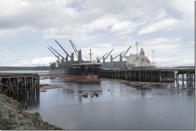 Nanaimo,ships,bulk carrier,logs,wharf,pier,rain,ocean,Nanaimo Assembly Wharf,dozer boats,tugs,loading logs