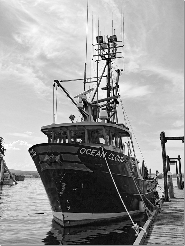 marina,fishboat,marina,fishing,ships,Quadra Islan,Gulf Islands,North Island,Quathiaski Cove,Vancouver Island,British Columbia