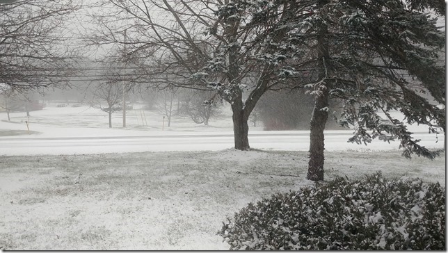 snow,nature,winter,Nova Scotia