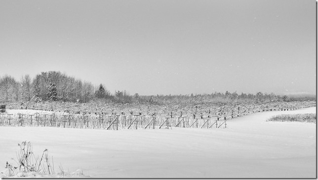 Nova Scotia,Canada,Atlantic Canada,field,farm,nature,snow,Nova Scotia Highway 1